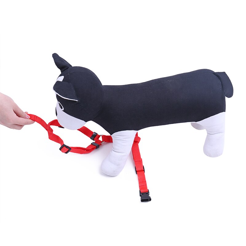 Nylon Adjustable Safety Belt and Harness Set